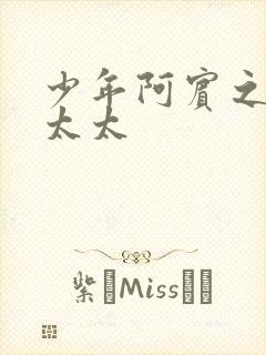 少年阿宾之房东太太