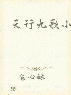 天行九歌小说