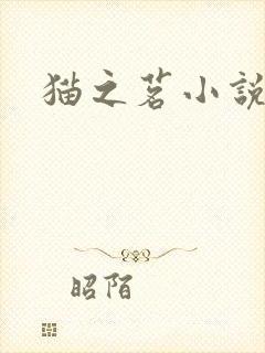 猫之茗小说