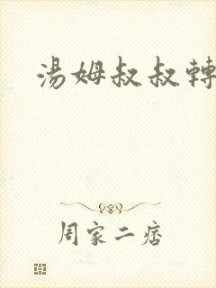 汤姆叔叔转接口