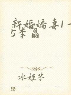 新婚娇妻1一25李晶封面