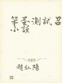 笨蛋测试召唤兽小说