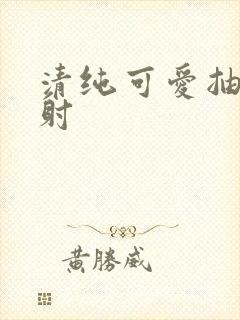 清纯可爱抽插内射