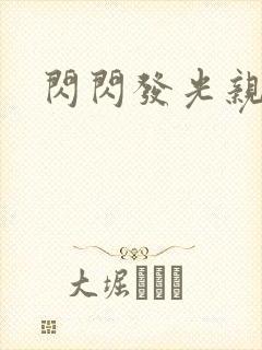 闪闪发光亲情会封面