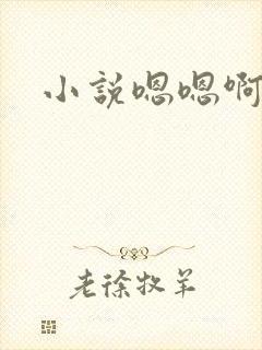 小说嗯嗯啊啊封面