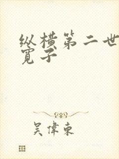 纵横第二世界 宽子封面