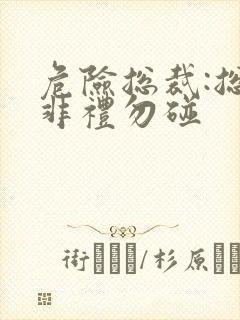 危险总裁:总裁非礼勿碰封面