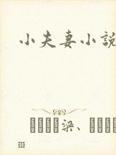 小夫妻小说