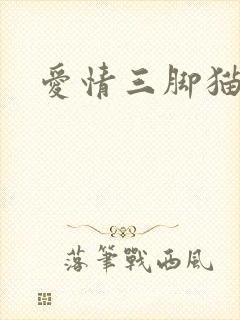 爱情三脚猫封面