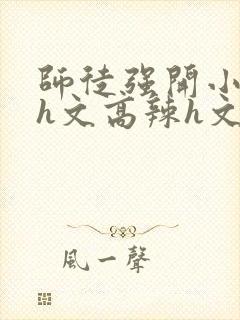 师徒强开小嫩苞h文高辣h文