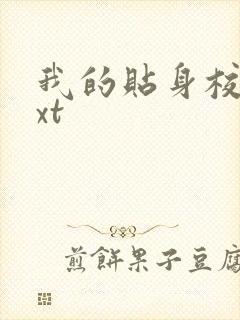 我的贴身校花txt封面