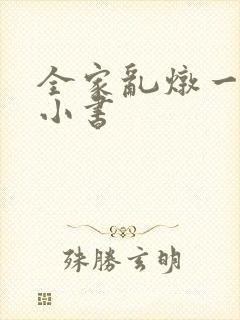 全家乱炖一锅烩小书