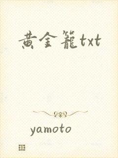 黄金笼txt