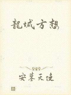 龙城方想封面