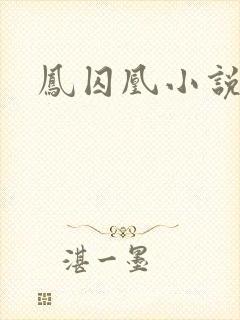 凤囚凰小说