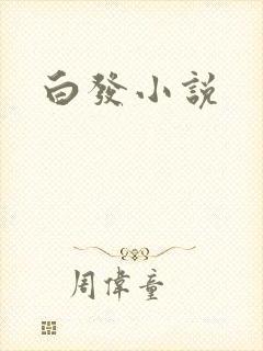 白发小说