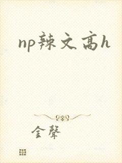 np辣文高h