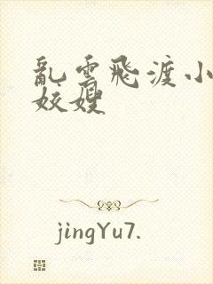 乱云飞渡小说之姣嫂