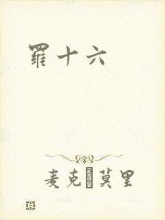 罗十六
