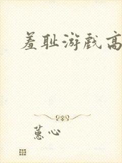 羞耻游戏高h封面