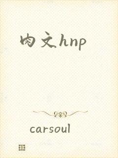 肉文hnp封面
