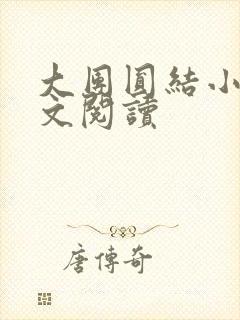 大团圆结小茹全文阅读