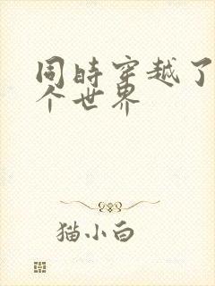 同时穿越了99个世界