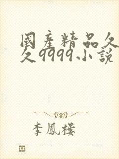 国产精品久久久久9999小说