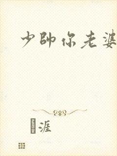 少帅你老婆