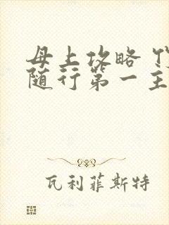 母上攻略 竹影随行第一主板