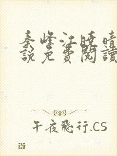 秦峰江晓晴的小说免费阅读封面