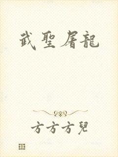 武圣屠龙封面