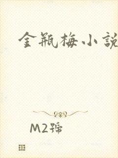 金瓶梅小说下载