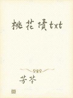桃花债txt封面