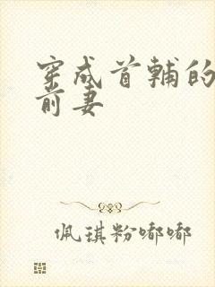 穿成首辅的炮灰前妻