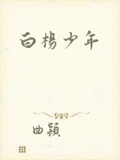 白杨少年