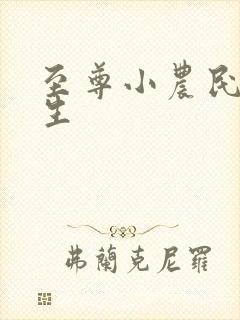 至尊小农民王木生