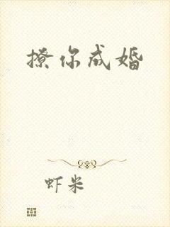 撩你成婚