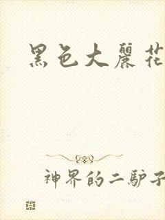 黑色大丽花图片