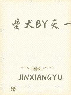爱犬BY天一封面