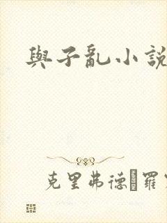 与子乱小说封面