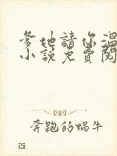 爹地请你温柔点小说免费阅读