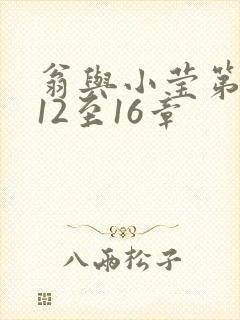 翁与小莹第十部12至16章