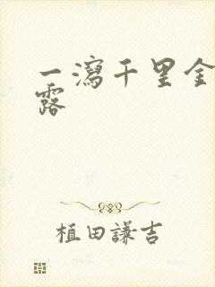 一泻千里金银花露封面