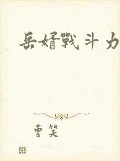 岳婿战斗力封面