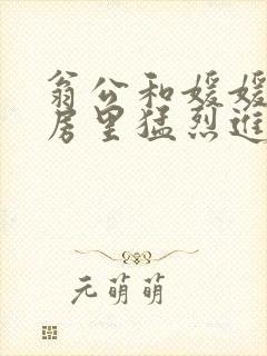 翁公和媛媛在厨房里猛烈进出