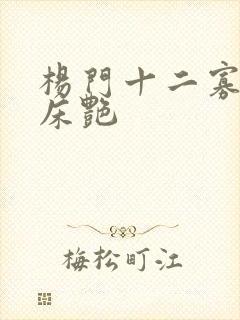 杨门十二寡妇肉床艳