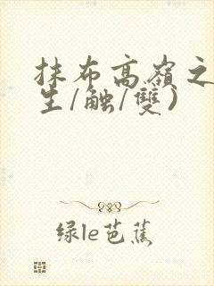 抹布高岭之花(生/触/双)