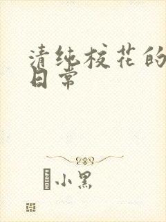 清纯校花的被肏日常