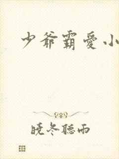 少爷霸爱小丫头